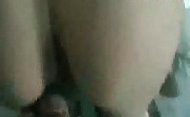 Homemade amateur doggiestyle movies