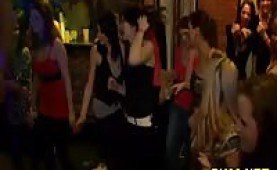 Drunk chicks goind wild in a bar