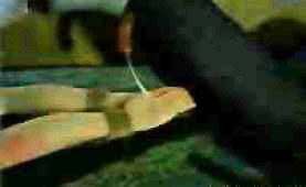 Bondaged 3d hentai babe roughly fucked in jail