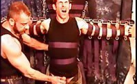 Hot stud gets ball bashing