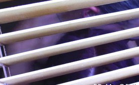 Wild fellatio with hot chicks