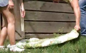 Doing homework and more