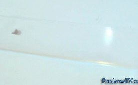 Hairy teenage asian ho pissing